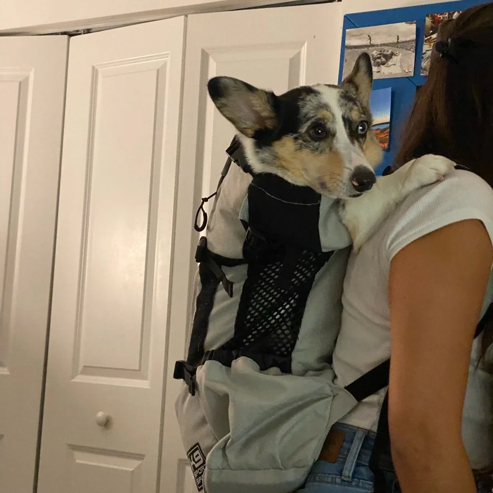 Pet Carrier Gray Backpack